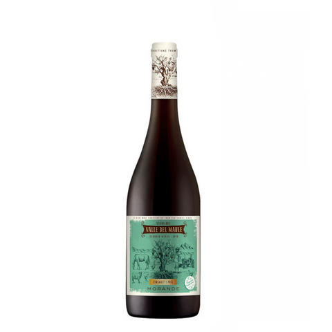 Morandé Terroir Wines País/cinsault 2024 Valle de Itata