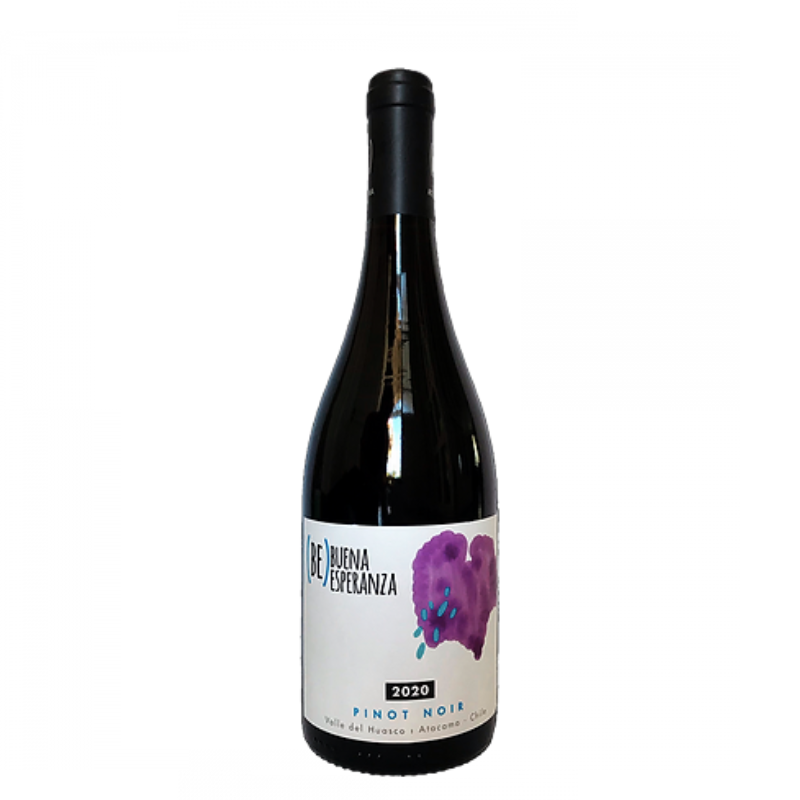 Buena Esperanza Pinot Noir 2020, Valle del Huasco Atacama